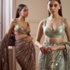 Brown Saree